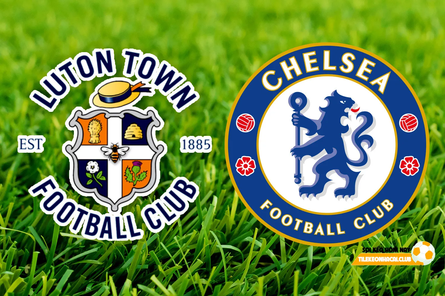 Soi kèo Luton vs Chelsea 19h30 ngày 30/12/2023: Có điểm về nhà